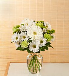 Serene Green Davenport Florist - Same Day Flower Delivery - Flower Power 